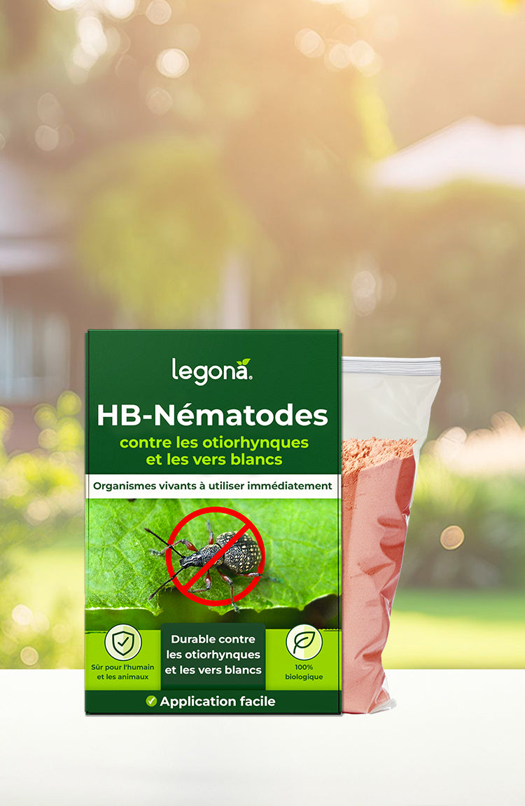 Legona HB-Nématodes contre l'otiorrhynque et les vers blancs, à côté d'un sachet pour l'application
