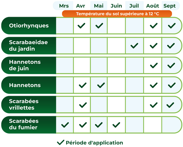 Calendrier d'application des nématodes selon les insectes cibles et les mois, indiquant les périodes avec température du sol supérieure à 12 °C pour Otiorhynques, Scarabaeidae du jardin, Hannetons de juin, Hannetons, Scarabées vrillettes et Scarabées du fumier.