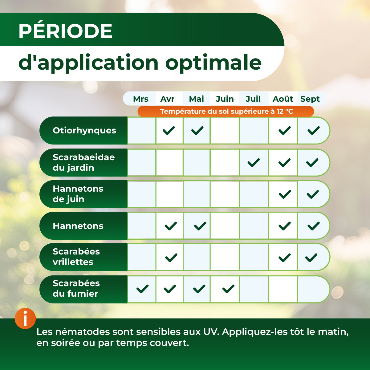 Tableau montrant la période optimale d'application des nématodes pour différents insectes de mars à septembre, avec température du sol supérieure à 12°C. Conseils d'application le matin, en soirée ou par temps couvert.