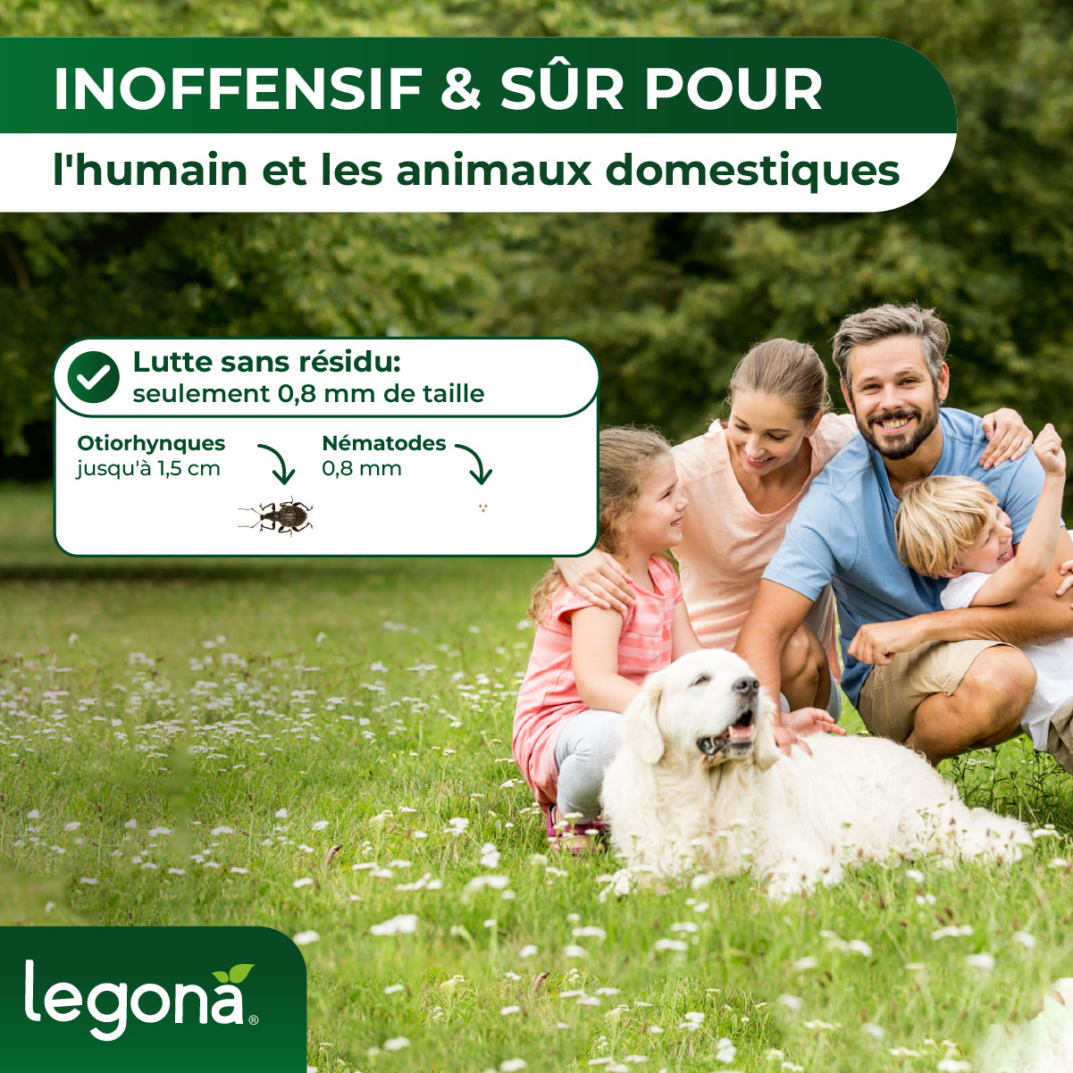 Famille de quatre personnes assise dans un champ avec un grand chien blanc couché devant eux, texte indiquant que le nématode est inoffensif et sans danger pour les humains et les animaux domestiques