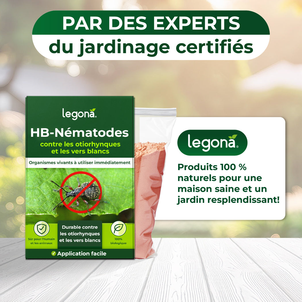 HB-Nématodes de Legona, traitement naturel contre otiorhynques et vers blancs, avec texte sur l'efficacité et la sécurité du produit
