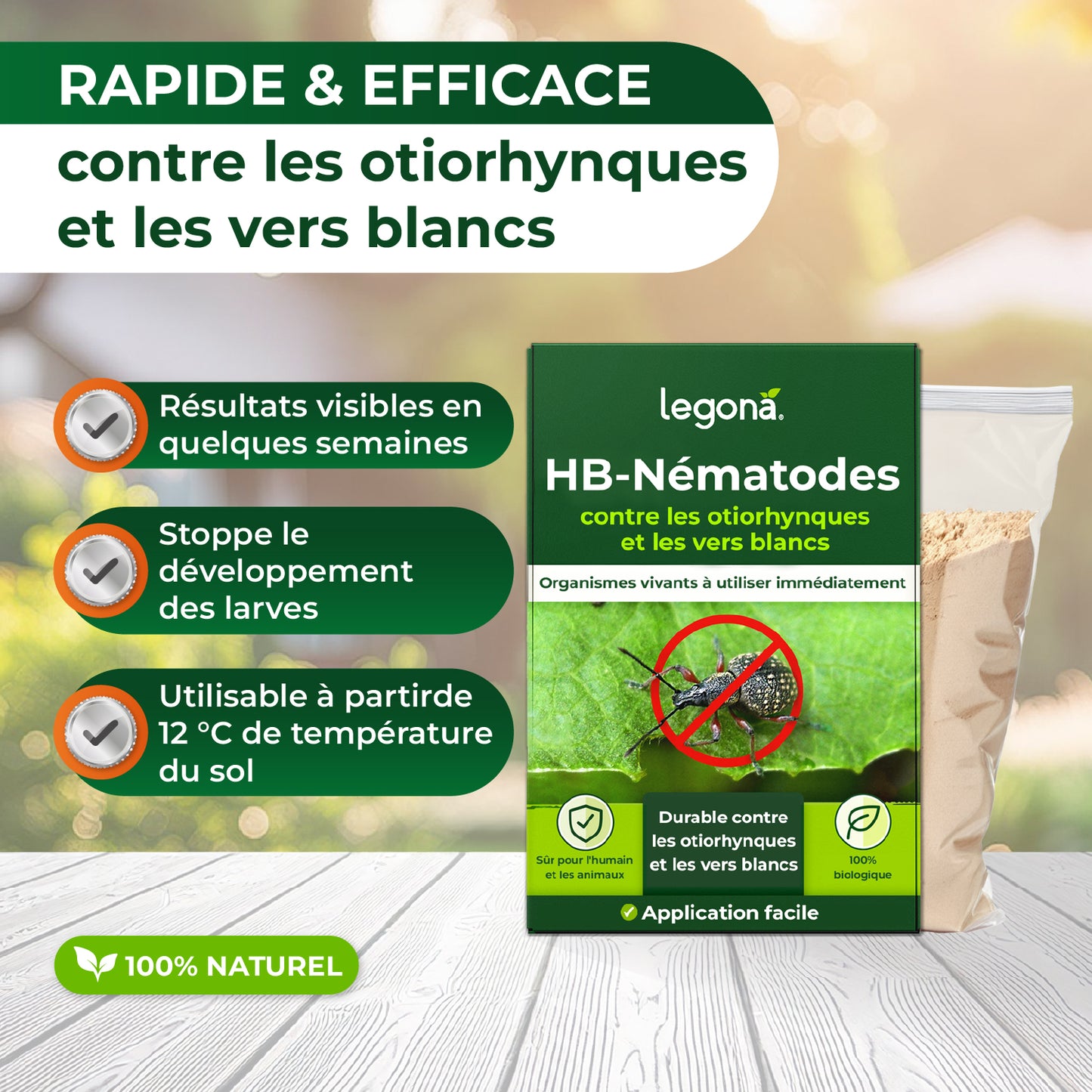Nématodes HB contre les otiorhynques et les vers blancs