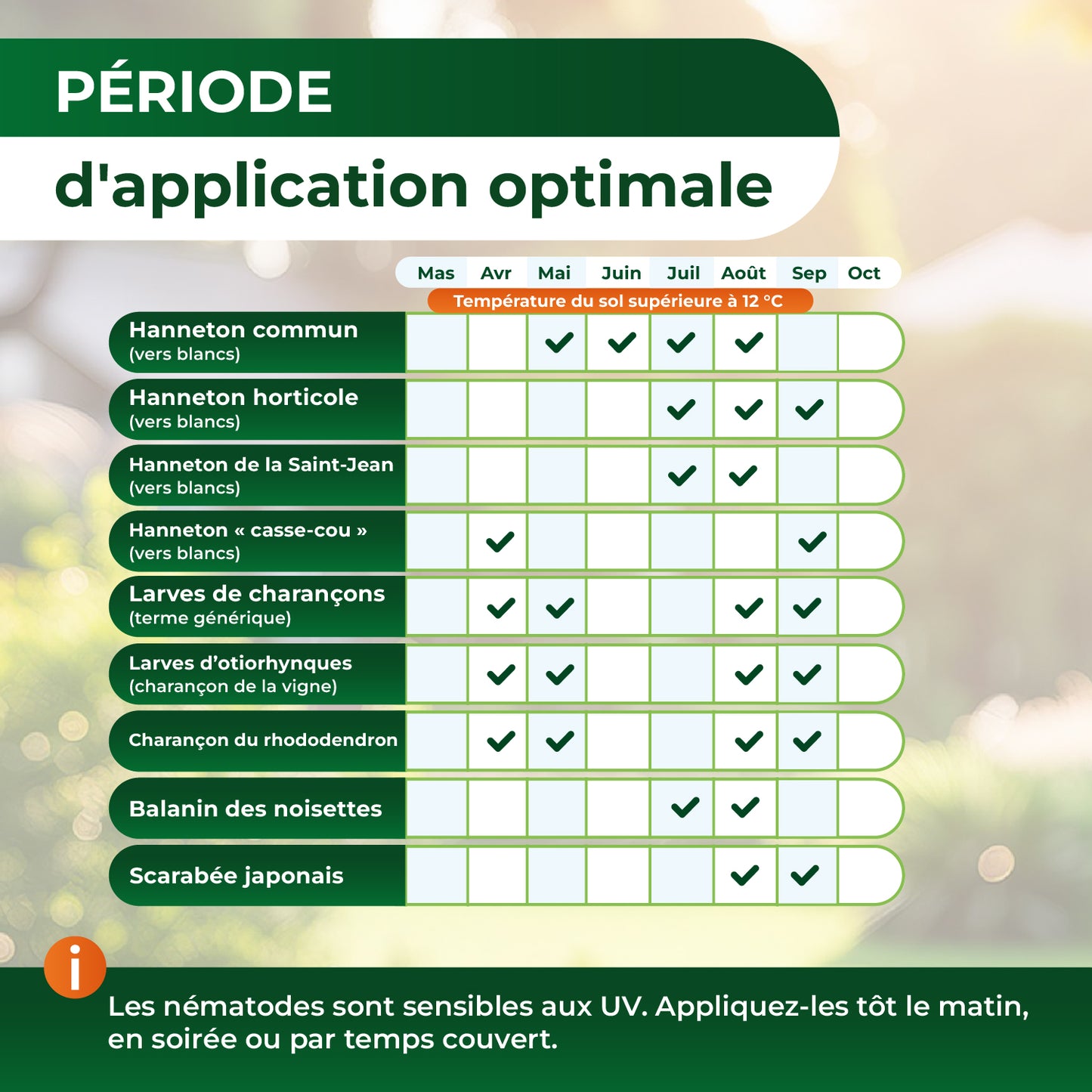 Nématodes HB contre les otiorhynques et les vers blancs