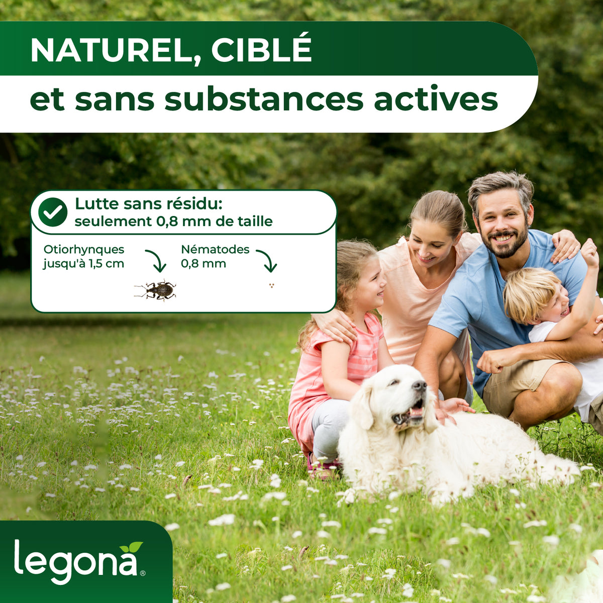 Nématodes HB contre les otiorhynques et les vers blancs