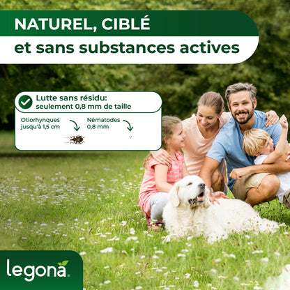 Nématodes HB contre les otiorhynques et les vers blancs