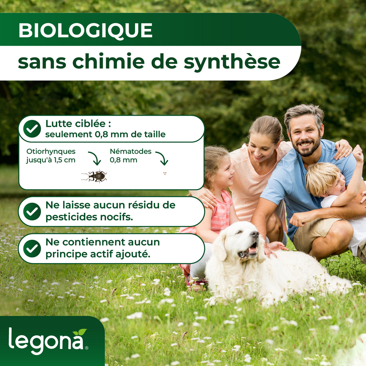 Nématodes HB contre les otiorhynques et les vers blancs