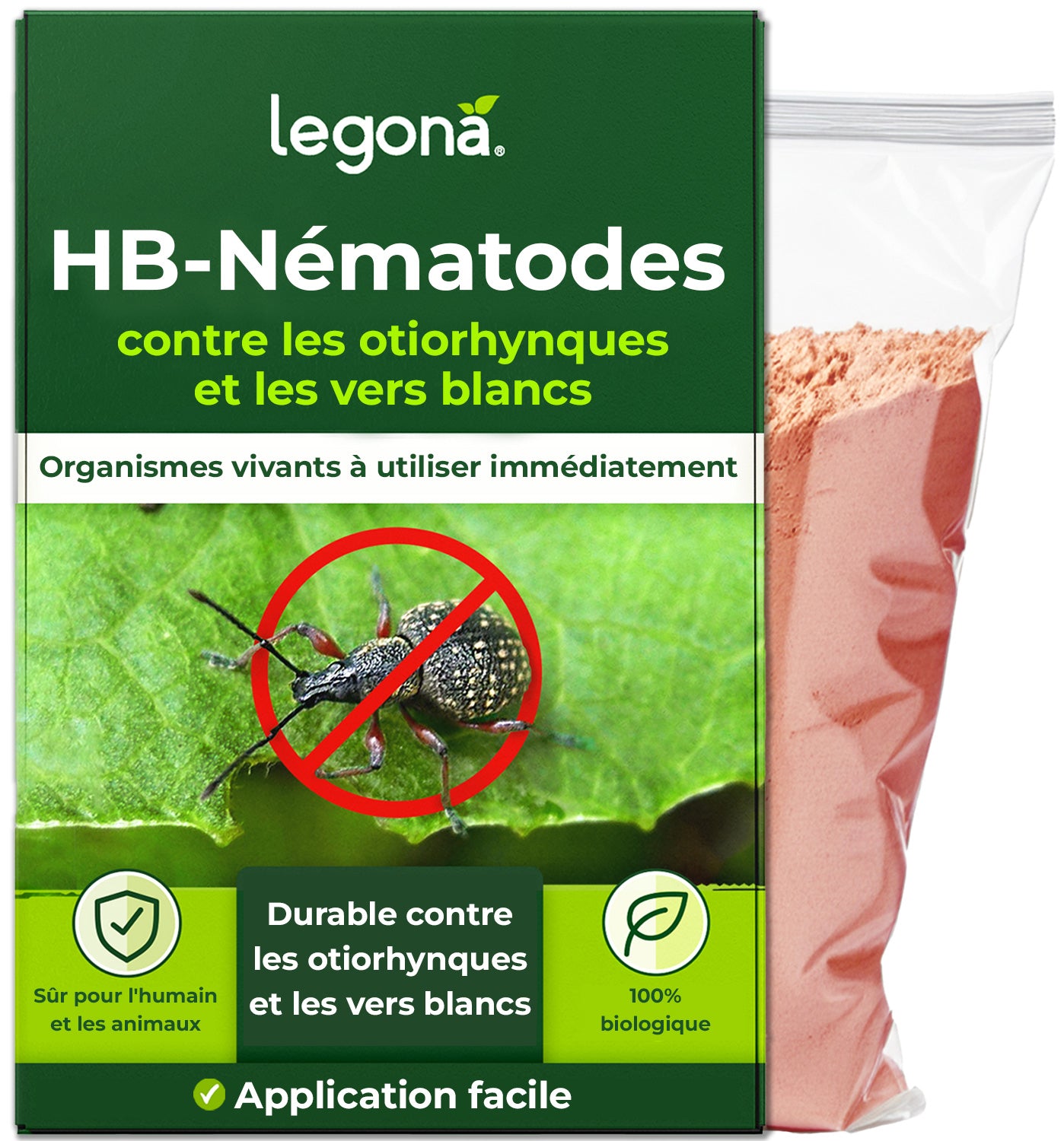 Nématodes HB contre les otiorhynques et les vers blancs