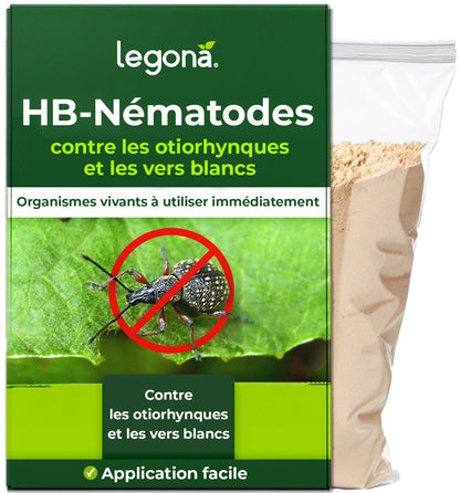 Nématodes HB contre les otiorhynques et les vers blancs