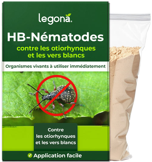 Nématodes HB contre les otiorhynques et les vers blancs