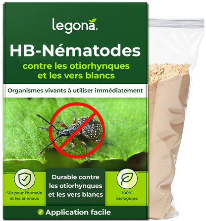Nématodes HB contre les otiorhynques et les vers blancs