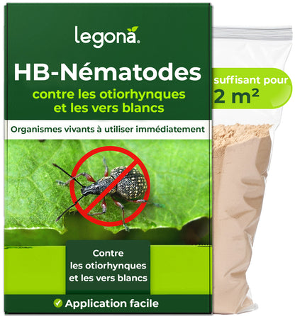 Nématodes HB contre les otiorhynques et les vers blancs