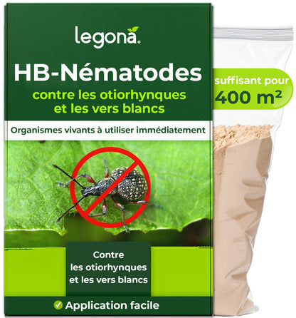 Nématodes HB contre les otiorhynques et les vers blancs