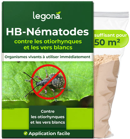 Nématodes HB contre les otiorhynques et les vers blancs