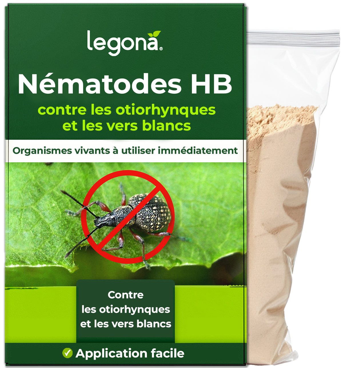 Nématodes SC contre les courtilières et les tipules