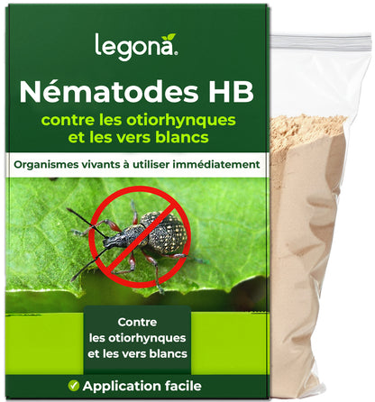 Nématodes SC contre les courtilières et les tipules