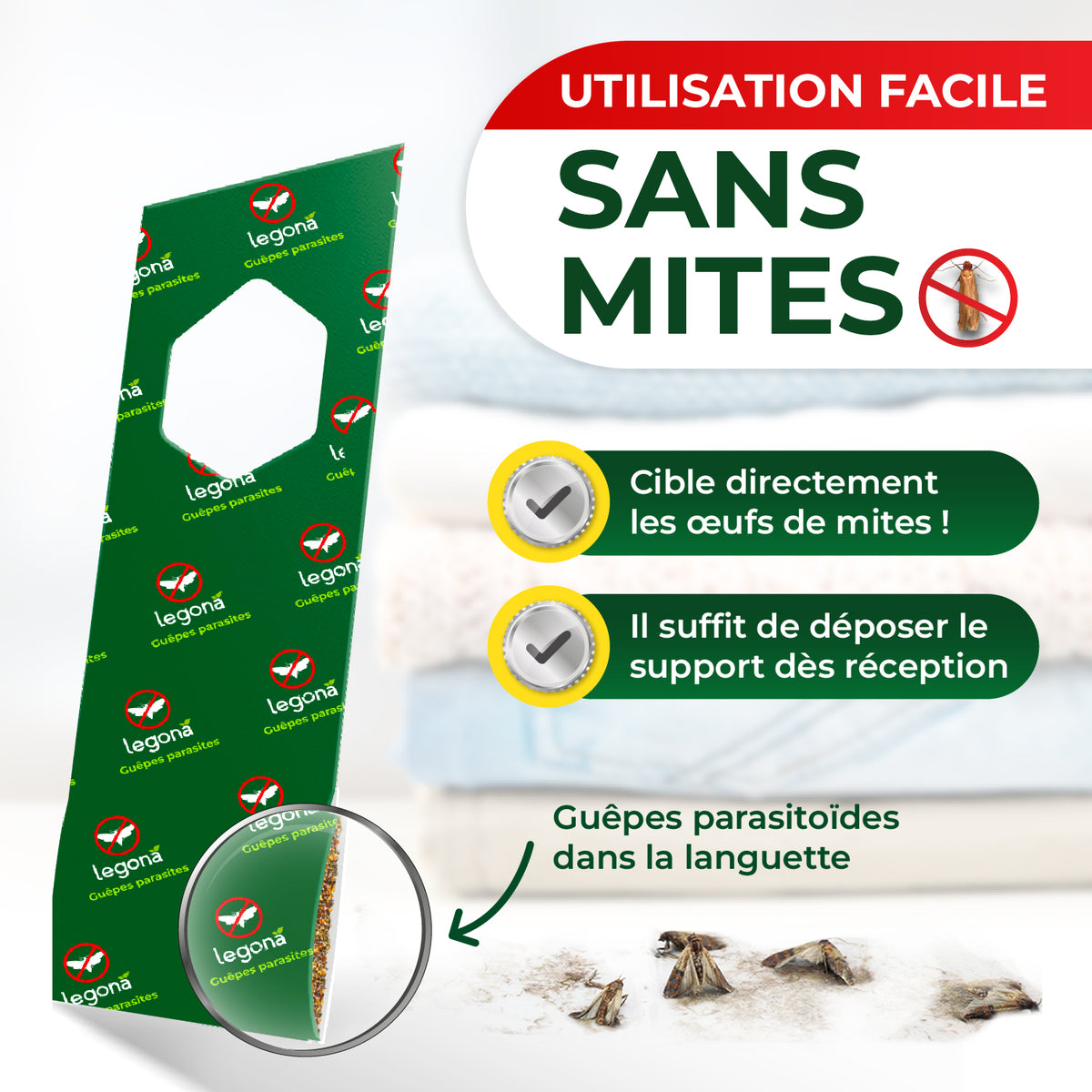 Trichogrammes anti-mites textiles