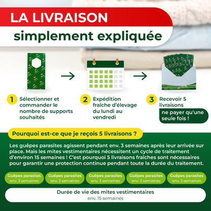 Trichogrammes anti-mites textiles