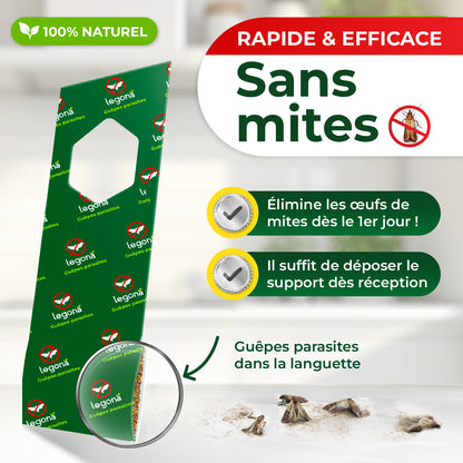 Trichogrammes anti-mites alimentaires