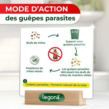 Trichogrammes anti-mites alimentaires