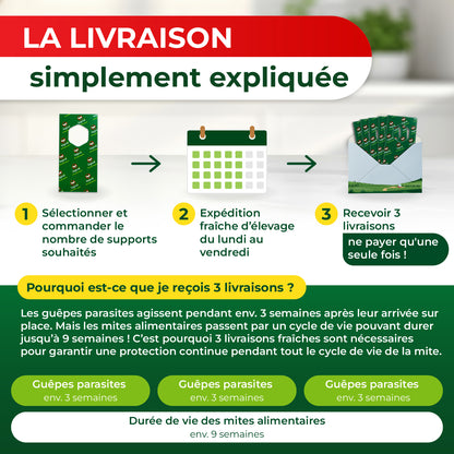 Trichogrammes anti-mites alimentaires