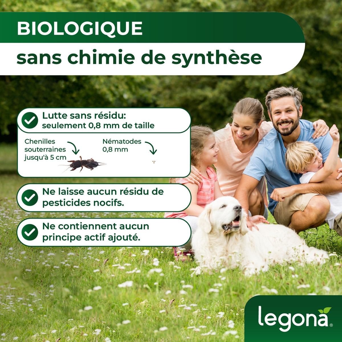 Nématodes SC contre les courtilières et les tipules