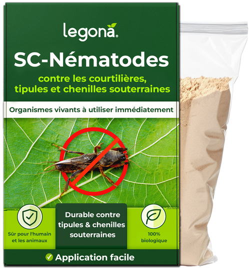 Nématodes SC contre les courtilières et les tipules