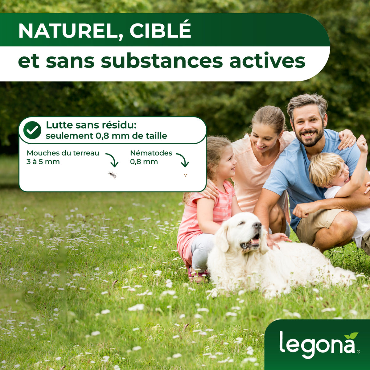 Nématodes SF contre les mouches du terreau