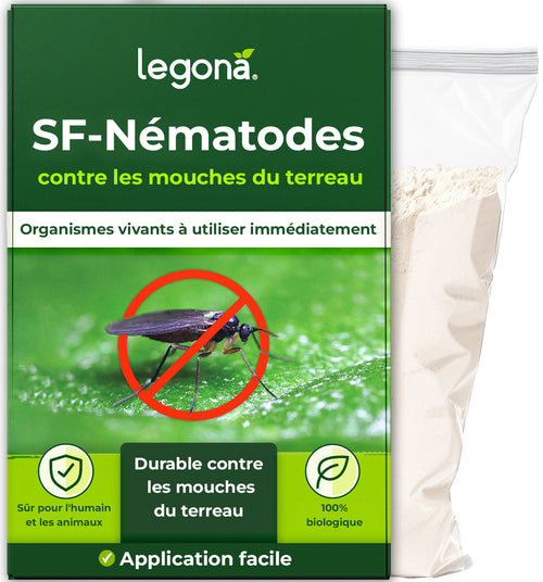 Nématodes SF contre les mouches du terreau
