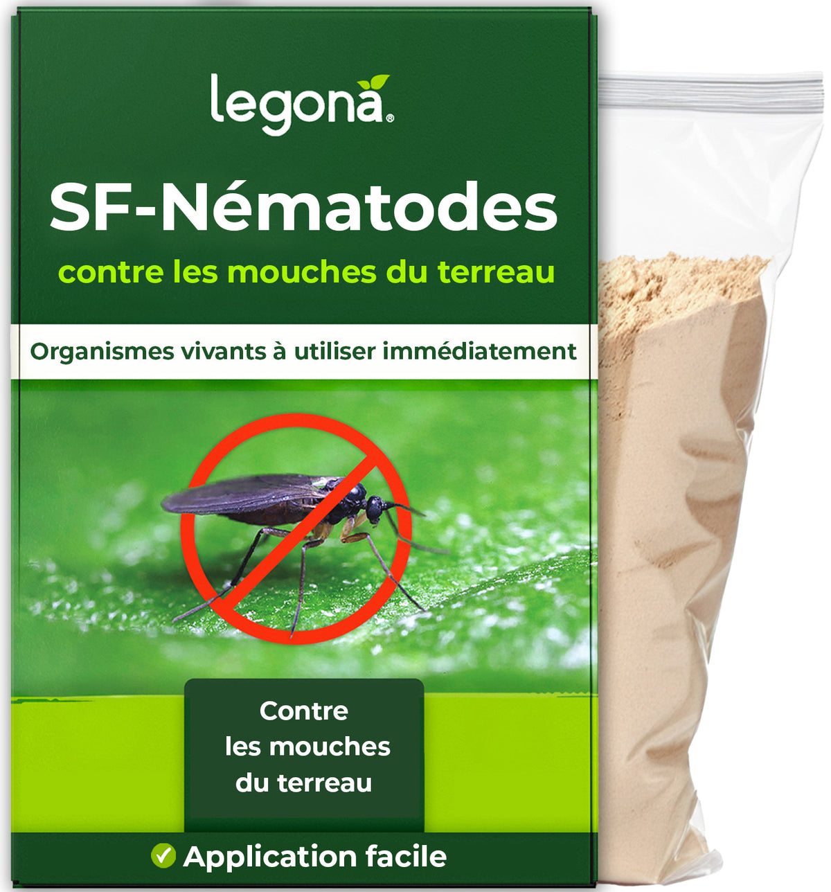 Nématodes SF contre les mouches du terreau