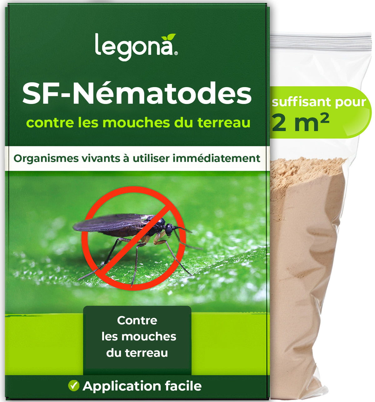 Nématodes SF contre les mouches du terreau