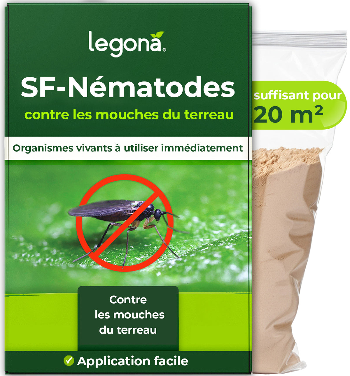 Nématodes SF contre les mouches du terreau