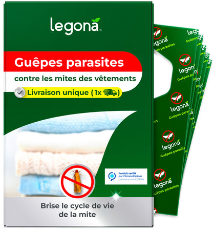 Trichogrammes anti-mites textiles