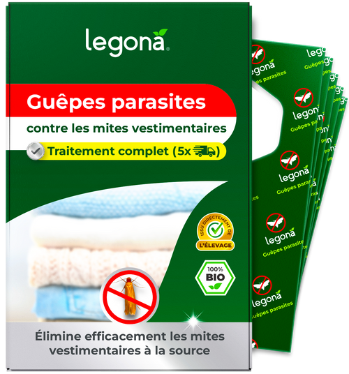 Trichogrammes anti-mites textiles