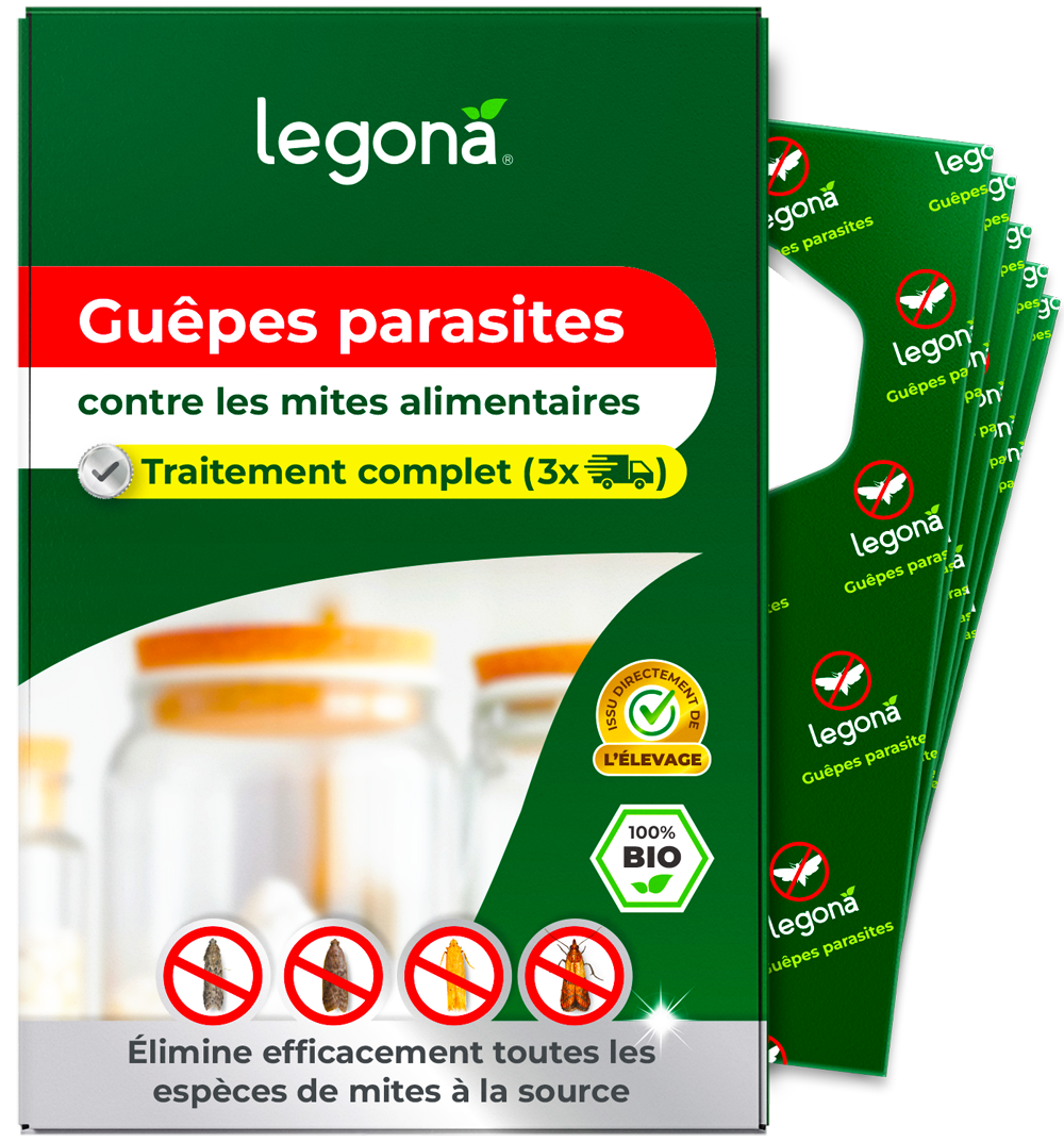 Trichogrammes anti-mites alimentaires