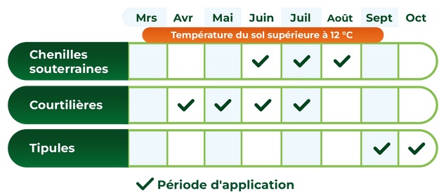 Calendrier d'application des nématodes selon les insectes cibles et la température du sol supérieure à 12 °C, montrant les chenilles souterraines en juin à août, les courtilières de avril à juin, et les tipules en septembre et octobre.