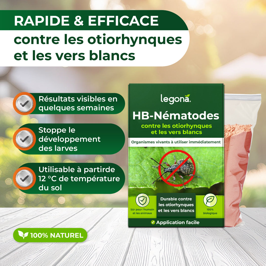 Nématodes HB contre les otiorhynques et les vers blancs