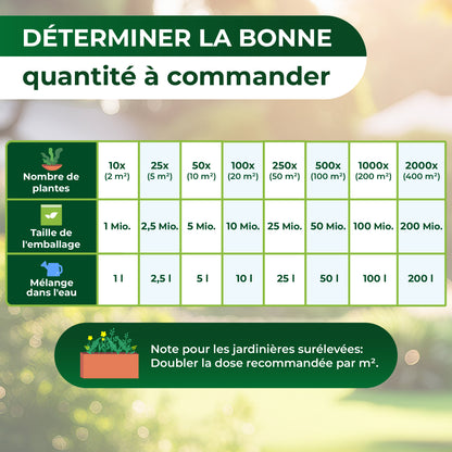 Nématodes HB contre les otiorhynques et les vers blancs