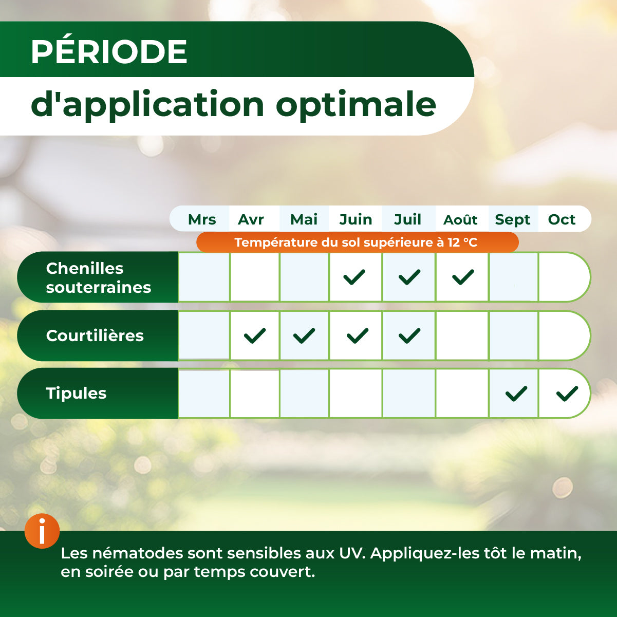 Tableau indiquant la période d'application optimale des nématodes selon le type : chenilles souterraines de juin à août, courtilières d'avril à juillet, tipules en septembre et octobre, avec température du sol supérieure à 12 °C.
