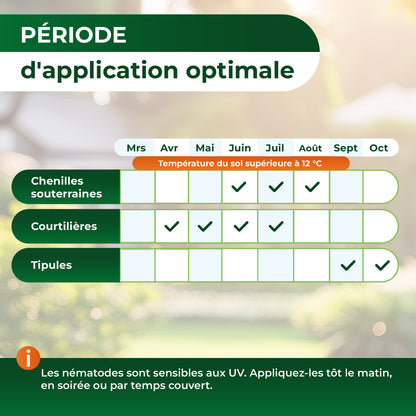 Tableau indiquant la période d'application optimale des nématodes selon le type : chenilles souterraines de juin à août, courtilières d'avril à juillet, tipules en septembre et octobre, avec température du sol supérieure à 12 °C.
